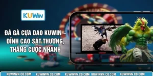 Đá Gà Cựa Dao KUWIN – Đỉnh Cao Sát Thương, Thắng Cược Nhanh