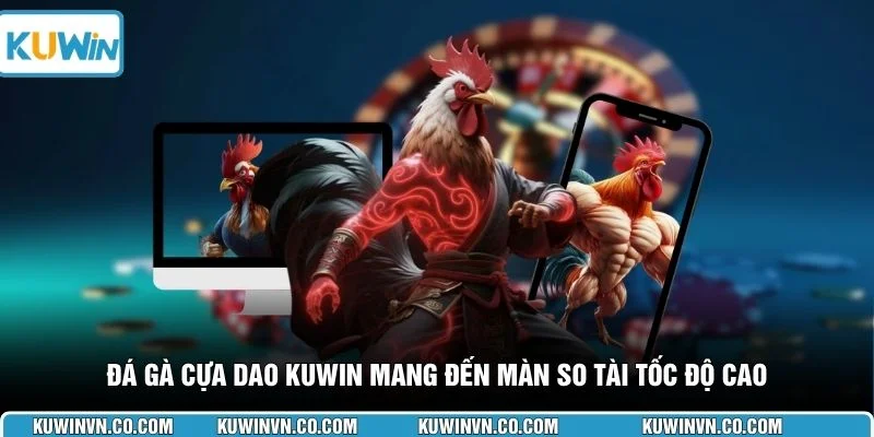 Đá gà cựa dao KUWIN mang đến màn so tài tốc độ cao
