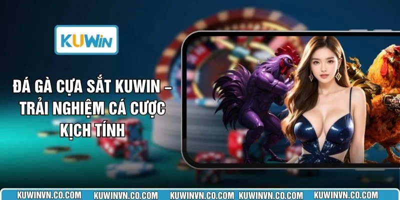 Đá Gà Cựa Sắt KUWIN – Trải Nghiệm Cá Cược Kịch Tính