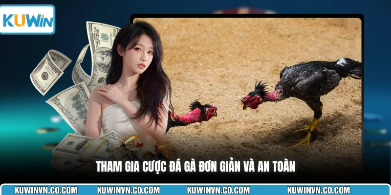 Tham gia cược đá gà đơn giản và an toàn